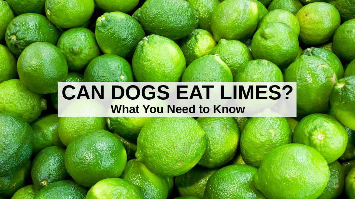 a bunch of limes.