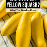 several whole yellow summer squash on a kitchen towel.