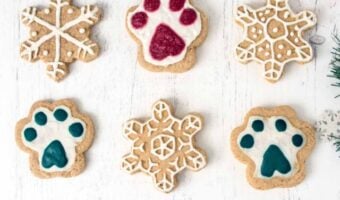 cropped-Christmas-Dog-Treats-Story-Cover.jpg