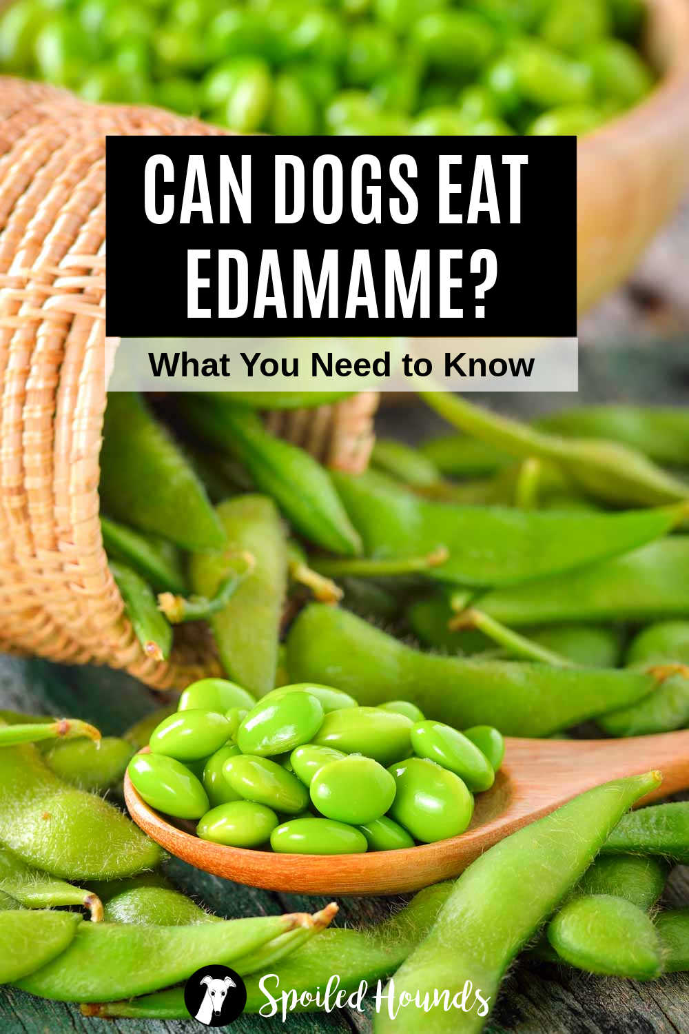 fresh edamame pods and beans.