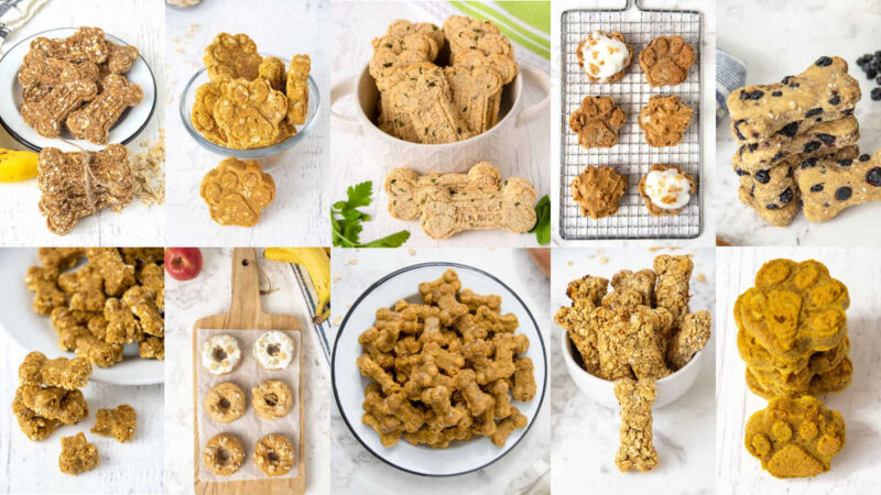 Collage of ten different homemade dog treats.