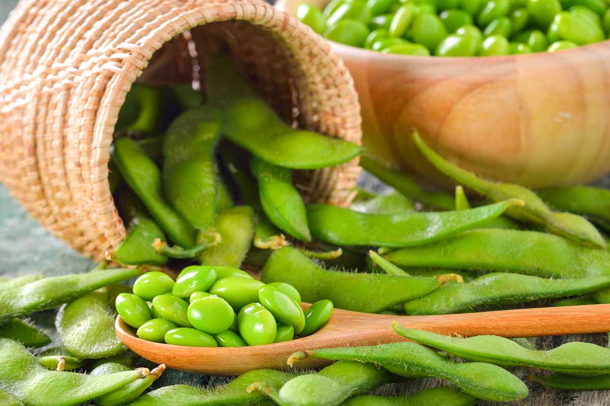 edamame pods and beans.