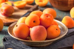 Can Dogs Eat Apricots? What to Know About Dogs and Apricots