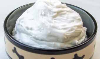 cropped-Whipped-Cream-for-Dogs-Cover.jpg