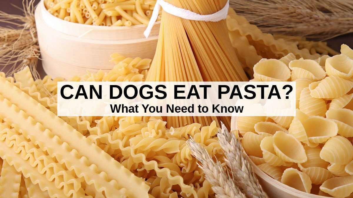 assorted dried pasta with text overlay.