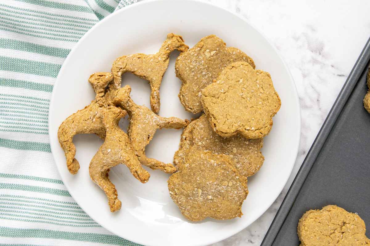 homemade dog treats without peanut butter on a white plate.