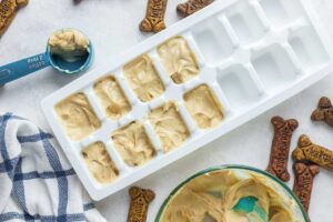 filling an ice cube tray with peanut butter yogurt mixture.