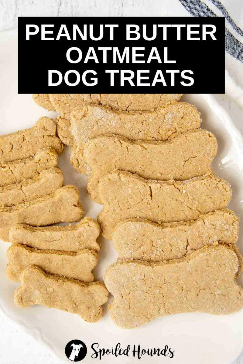 homemade peanut butter oatmeal dog treats on a white platter.
