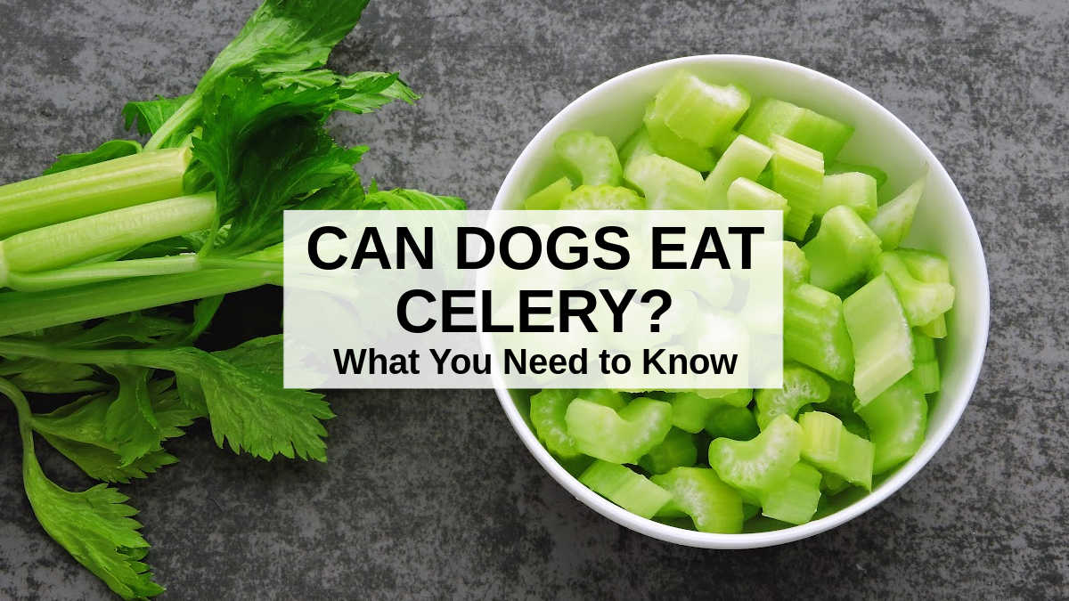 a bowl of chopped celery and celery stalks.