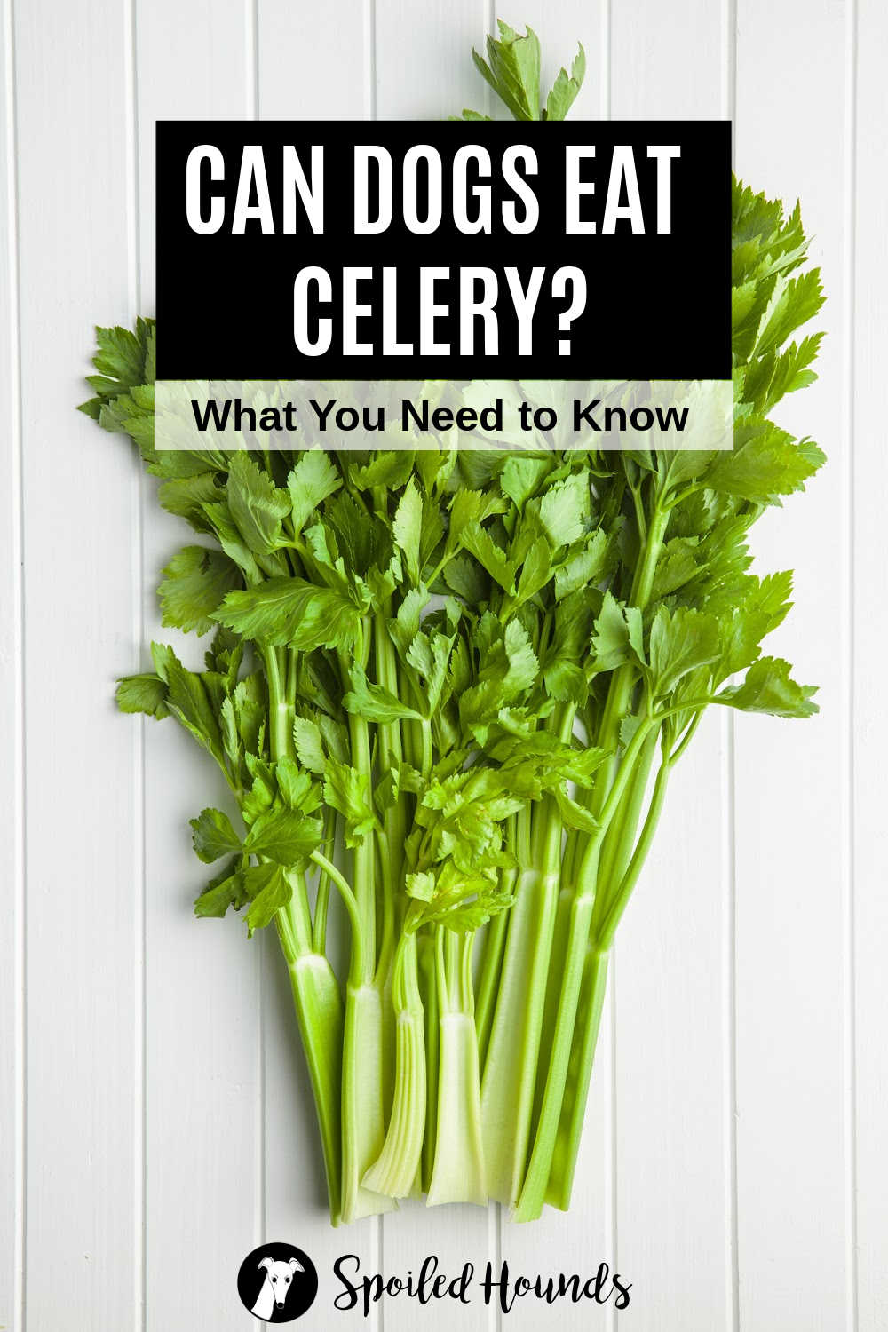 celery stalks with leaves.