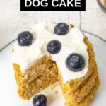 no bake dog cake with a slice out of it.