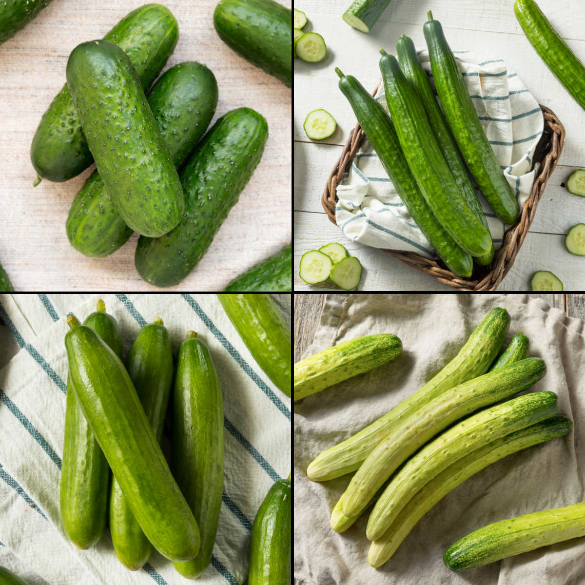 collage of four types of cucumbers.