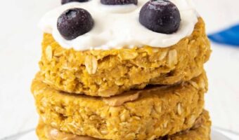 cropped-No-Bake-Dog-Cake-Recipe-Story-Poster.jpg