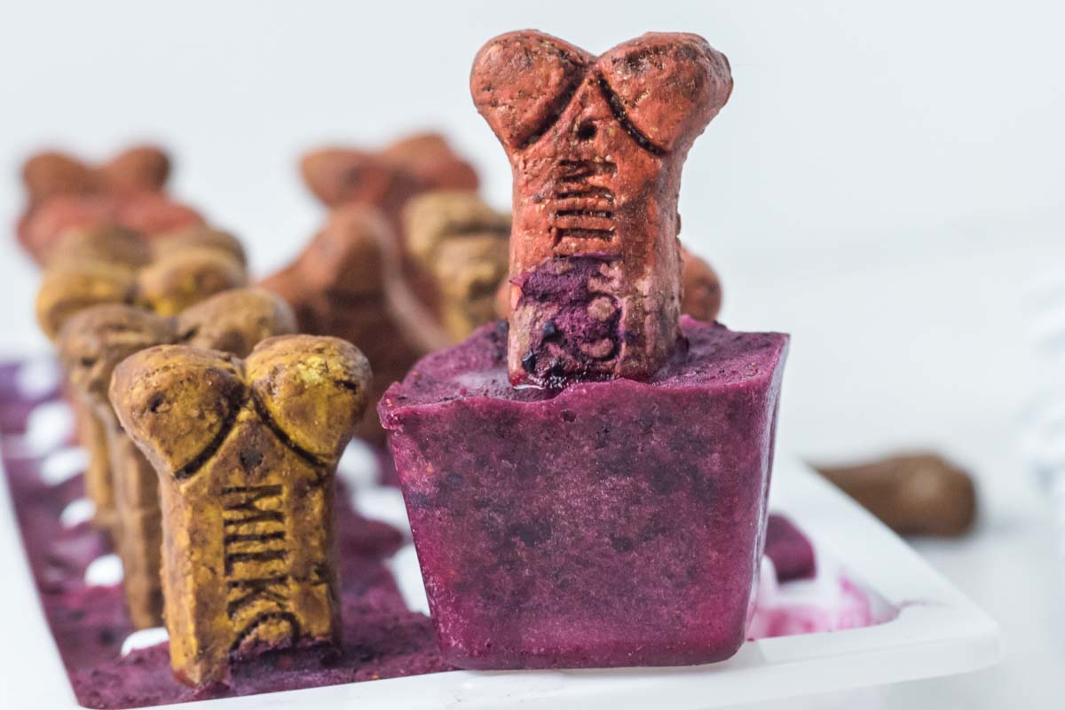 Healthy 3-Layer Dog Popsicles, Gallery posted by Pearl & Violet