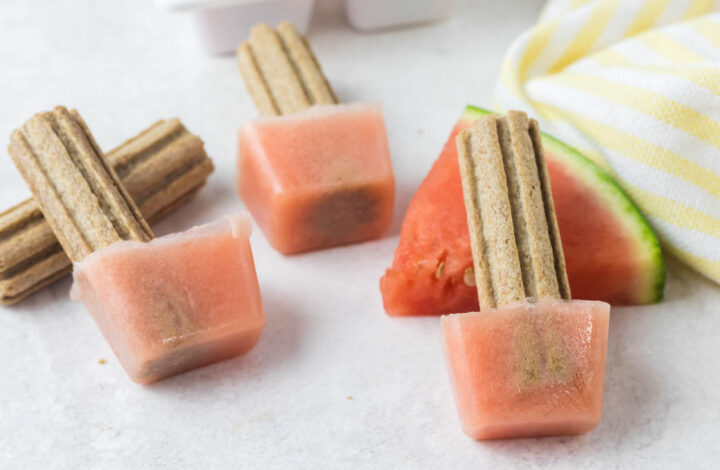 homemade watermelon dog popsicles, watermelon slice, and dog treat.