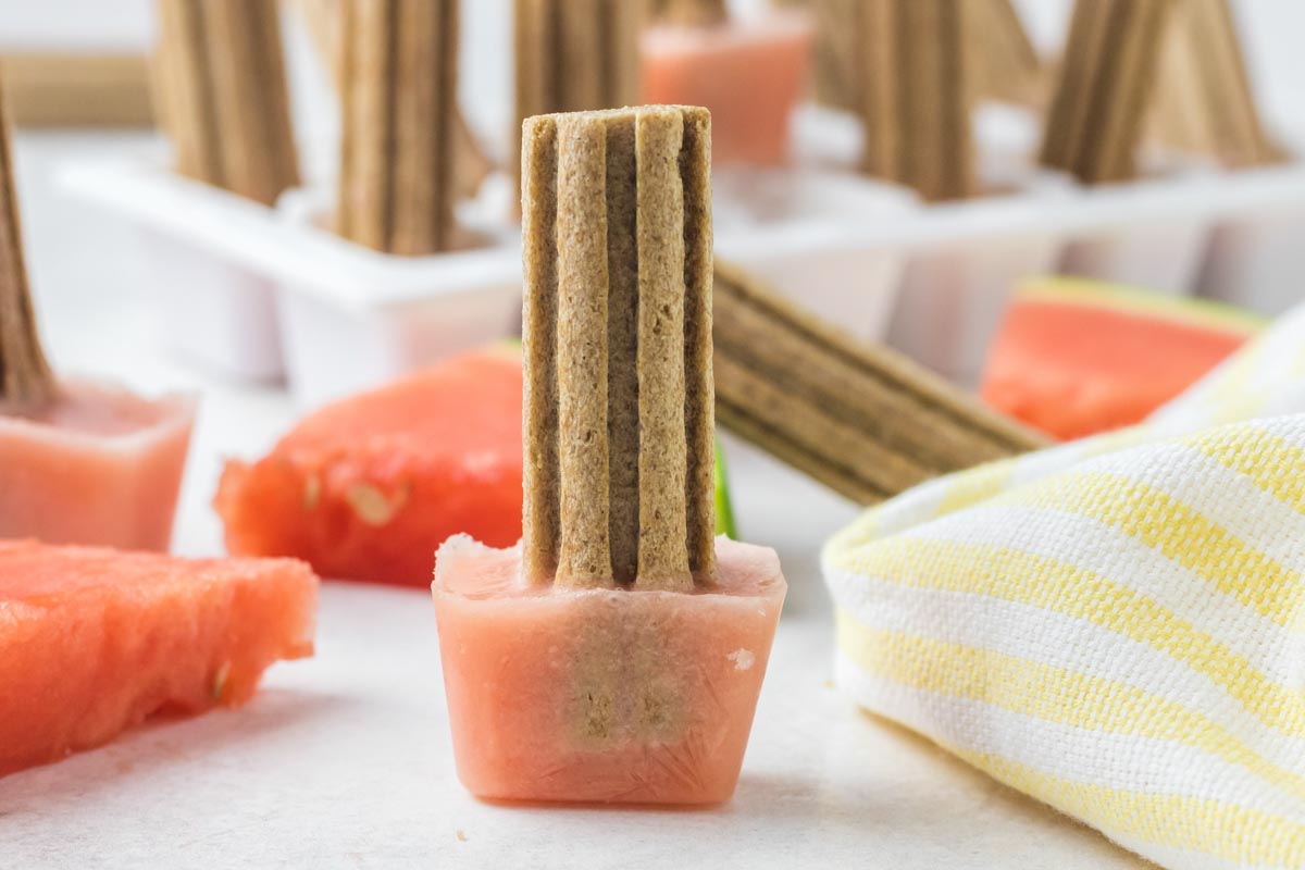 homemade watermelon dog popsicle with a dog treat popsicle stick.