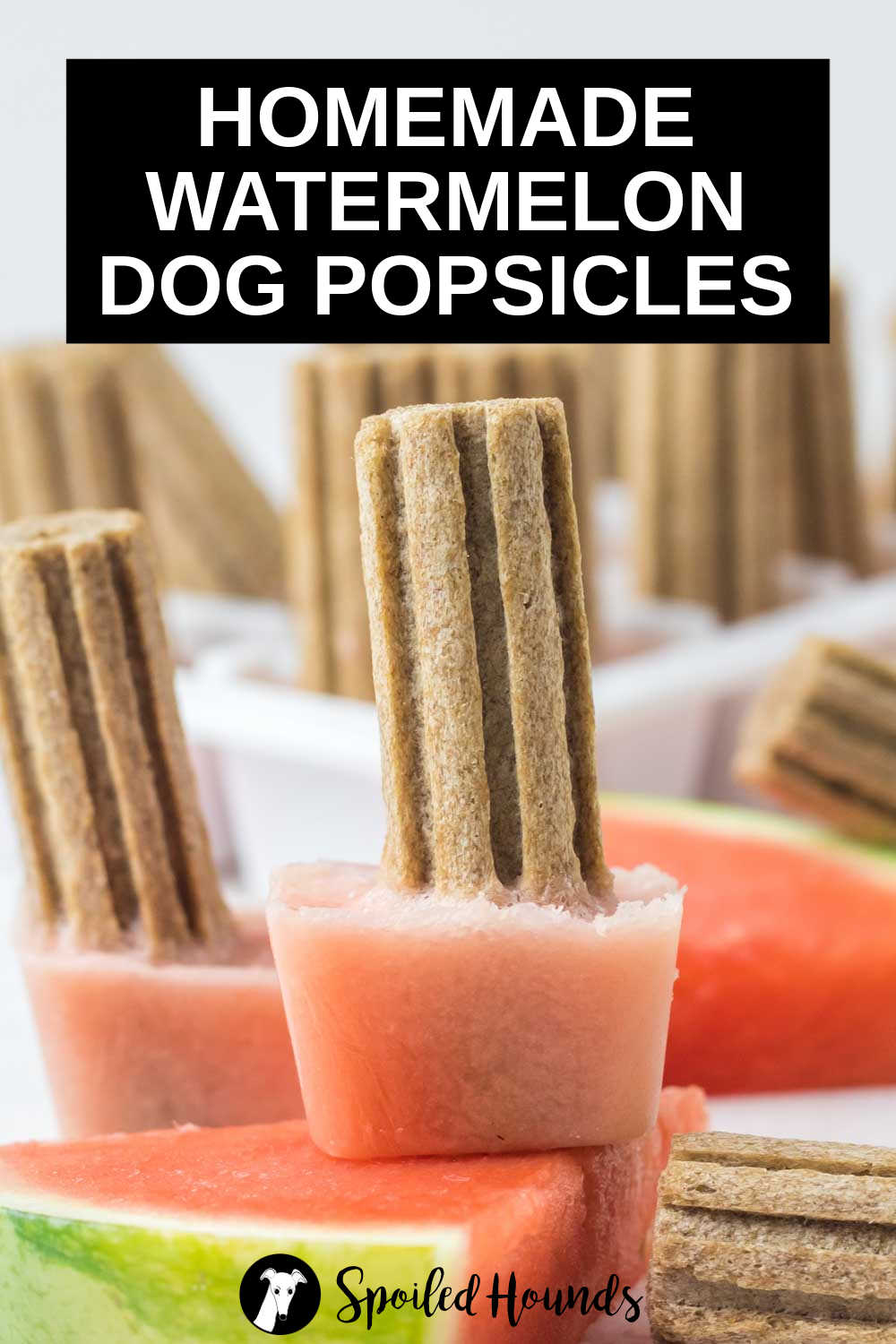 homemade watermelon dog popsicle on top of a watermelon slice.