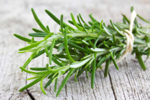 Can Dogs Eat Rosemary? What You Need To Know