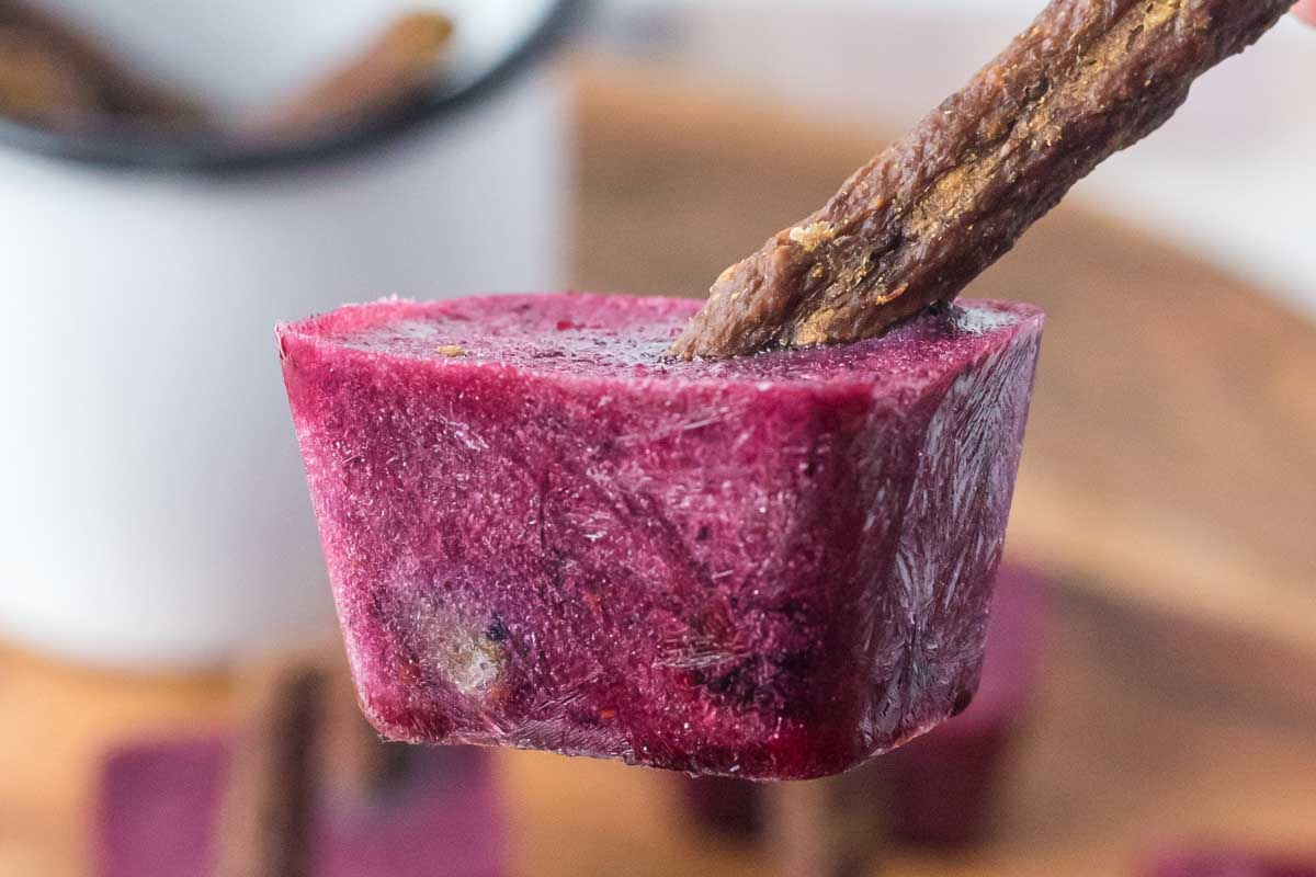 closeup of a mixed berry dog popsicle.