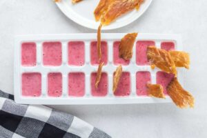 inserting chicken jerky into strawberry mixture in ice cube tray.