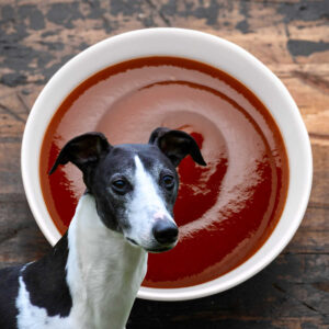 Can Dogs Eat BBQ Sauce? What You Need To Know - Spoiled Hounds
