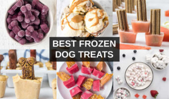 collage of six frozen dog treats.