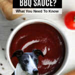 dog in front of a bowl of bbq sauce.