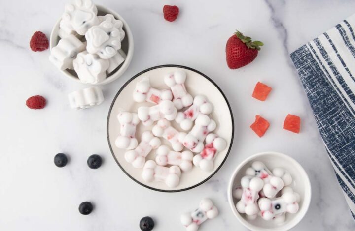 overhead view of homemade frozen yogurt dog treats and fruit.