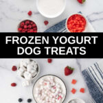 frozen yogurt dog treats ingredients and the treats in bowls.