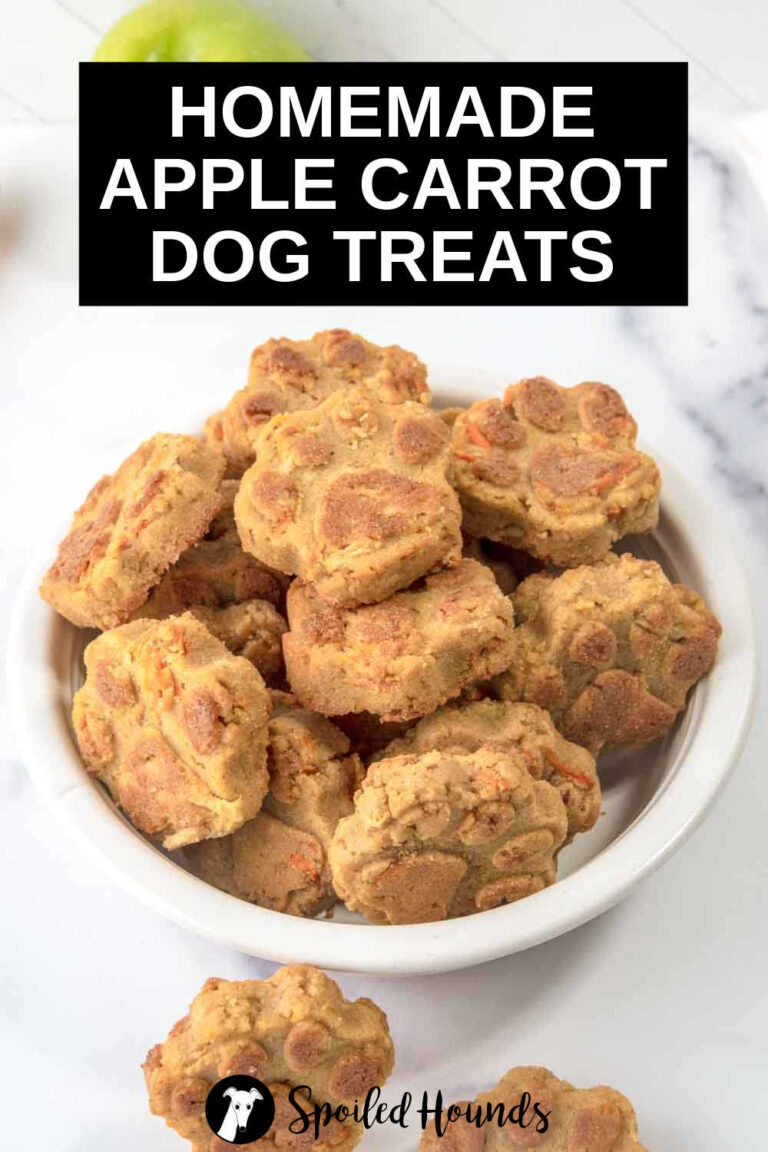 Fresh Egg Treats For Dogs With Carrots And Apples preview