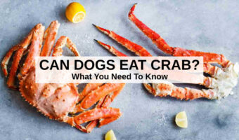 whole cooked crab and crab legs.