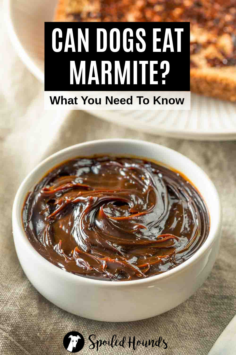 Marmite yeast extract in a bowl.