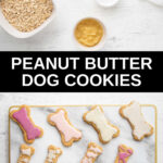 homemade peanut butter dog cookies ingredients and the cookie on a tray.
