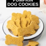pumpkin dog cookies in a small bowl.