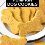 pumpkin cookies for dogs in a bowl.