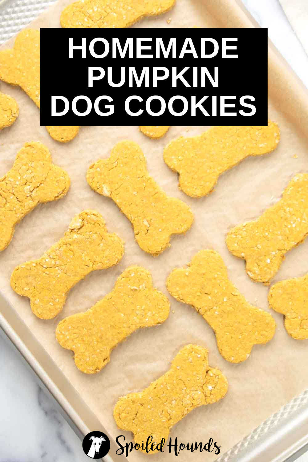 Easy Pumpkin Dog Cookies Recipe Spoiled Hounds