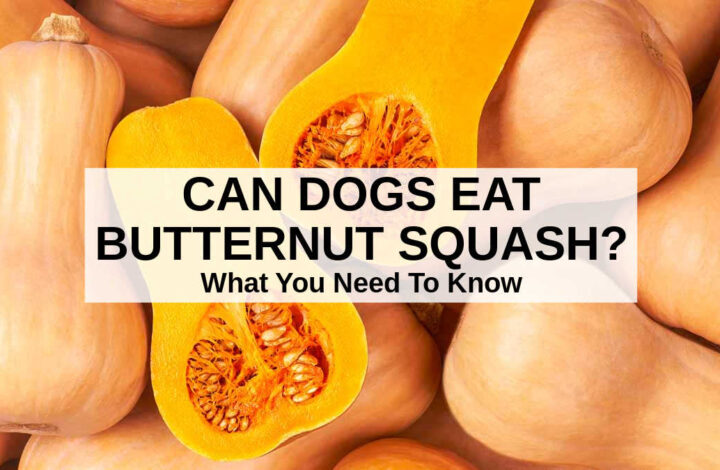 a bunch of butternut squash whole and cut in half.