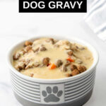 bowl of dry dog food topped with dog gravy.