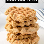 a stack of 5 homemade dog waffles.