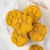 homemade pumpkin dog biscuits on parchment paper.