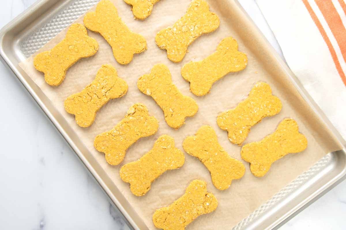 Bone-shaped cookies for dogs made with pumpkin and peanut butter on a baking sheet.