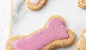 cropped-Peanut-Butter-Dog-Cookies-Story-Poster.jpg