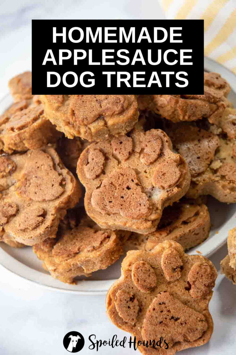 Easy Applesauce Dog Treats Recipe Spoiled Hounds