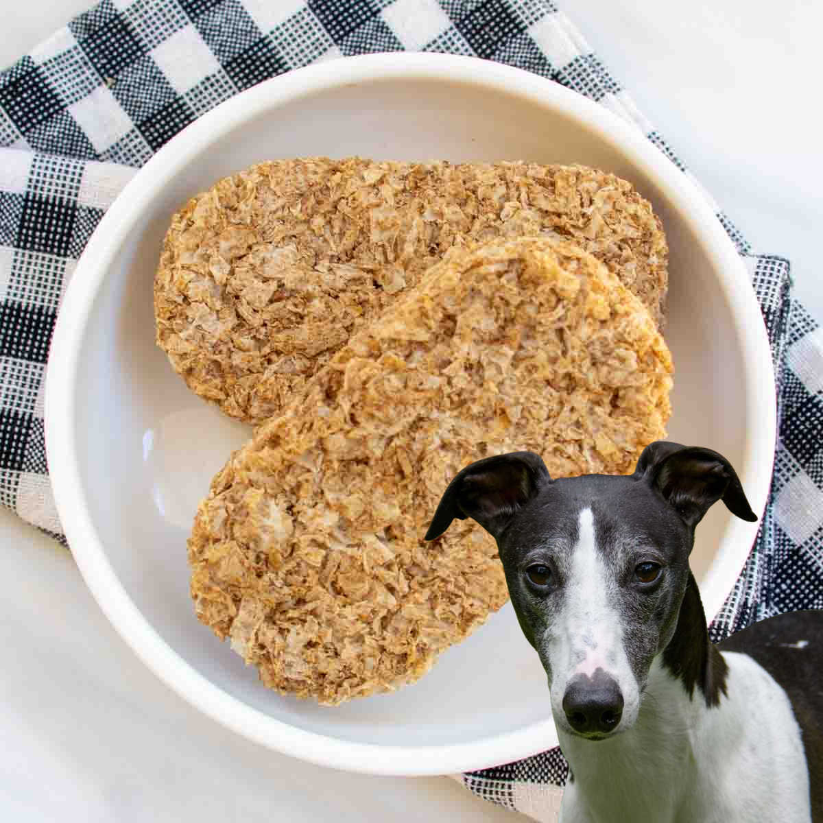 dog in front of a bowl of Weetabix cereal.