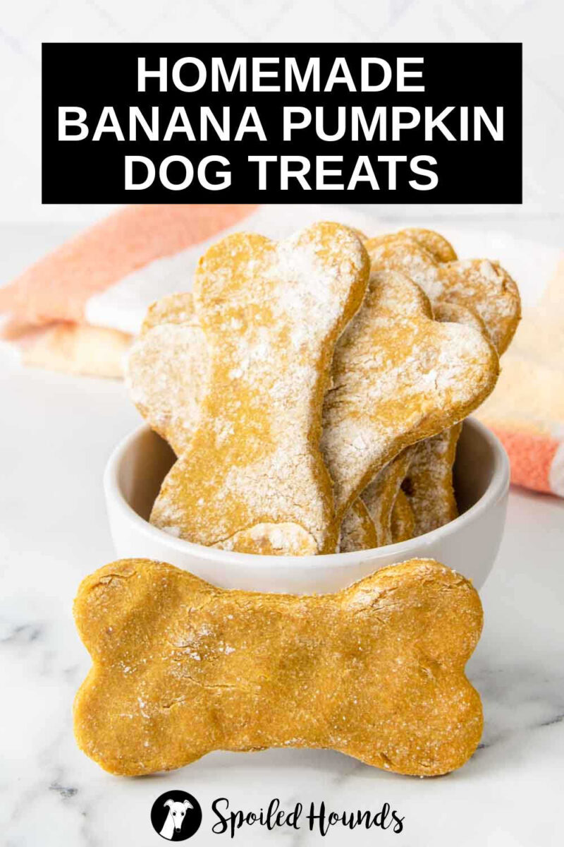 Easy Banana Pumpkin Dog Treats Recipe - Spoiled Hounds - Making Banana And Chicken Dog Treats