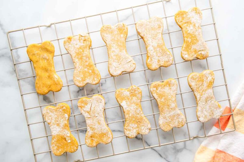 Photo inspiration: Easy Banana Pumpkin Dog Treats Recipe Photo Inspiration