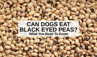 a bunch of black eyed peas.