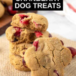 homemade cranberry dog treats in a stack with one in front.