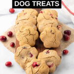 homemade cranberry dog treats in two rows on a small board.