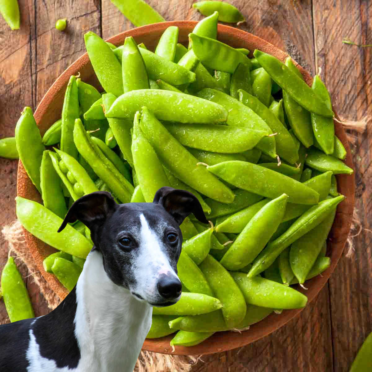 Can dogs outlet have green peas